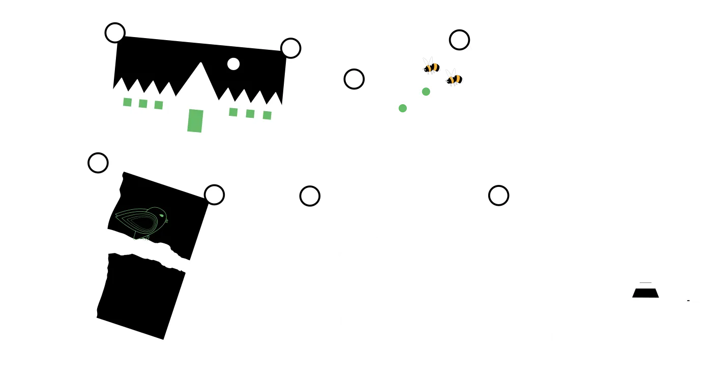 Photographs pinned to a board, next to a camera