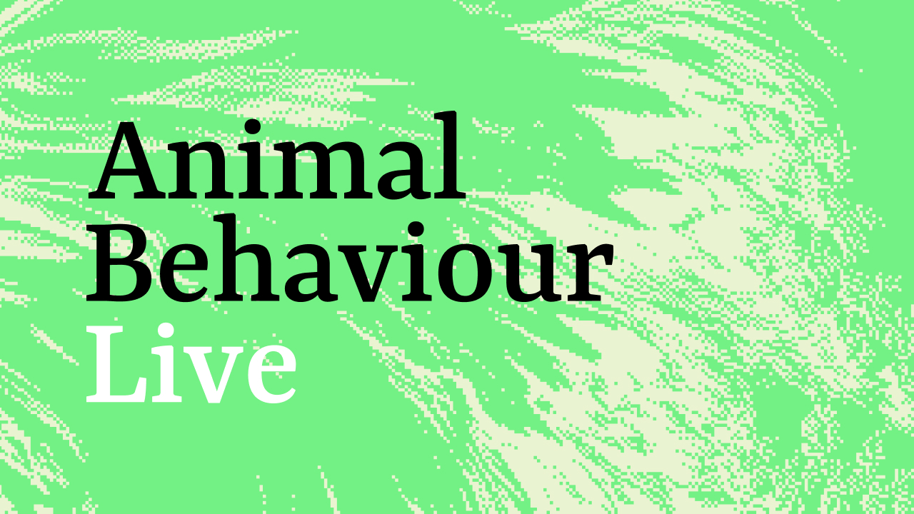 Animal behaviour Live Logo